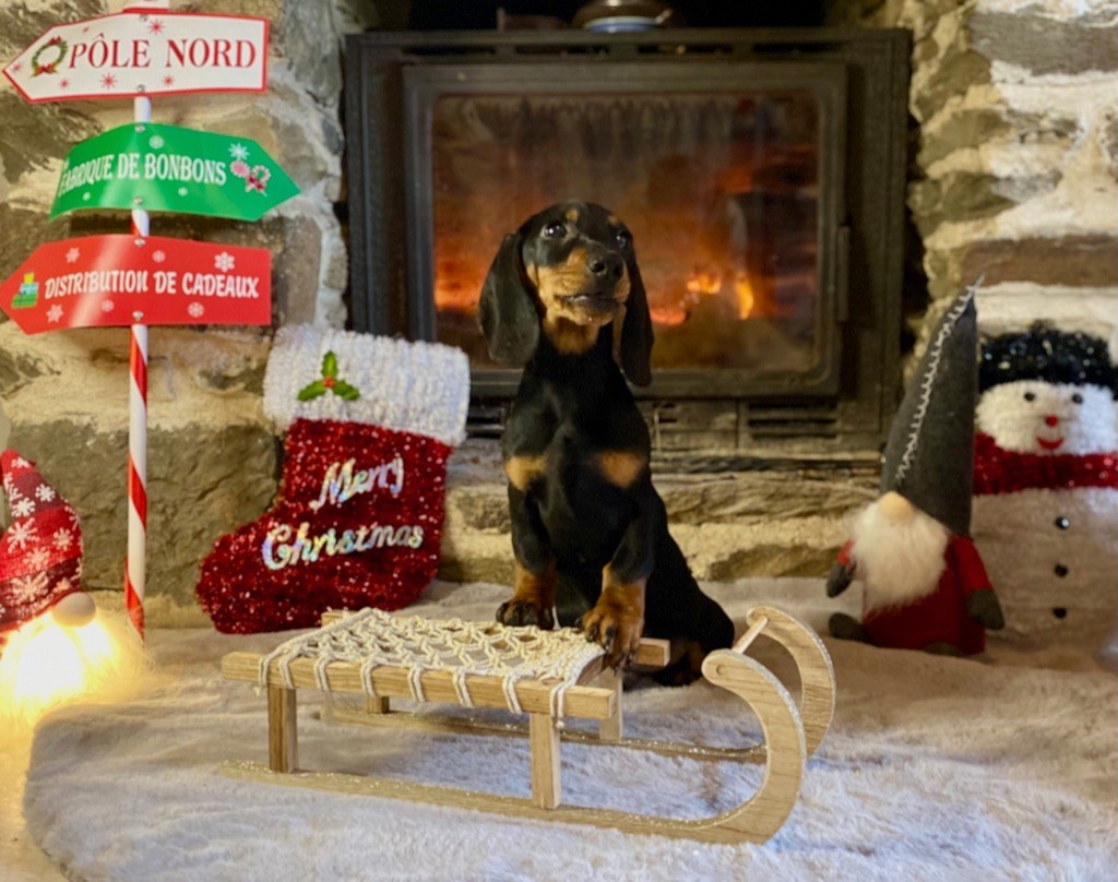 Les petits Lutins Farceurs de Noël